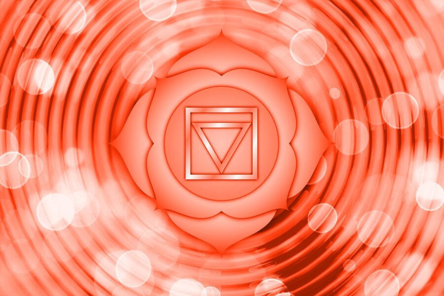第一脈輪:海底輪(Muladhara/ The Root Chakra)